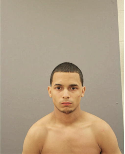 BRANDON E PEREZ, Cook County, Illinois
