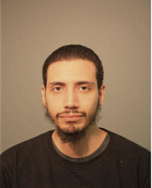 DAVID JR RODRIGUEZ, Cook County, Illinois