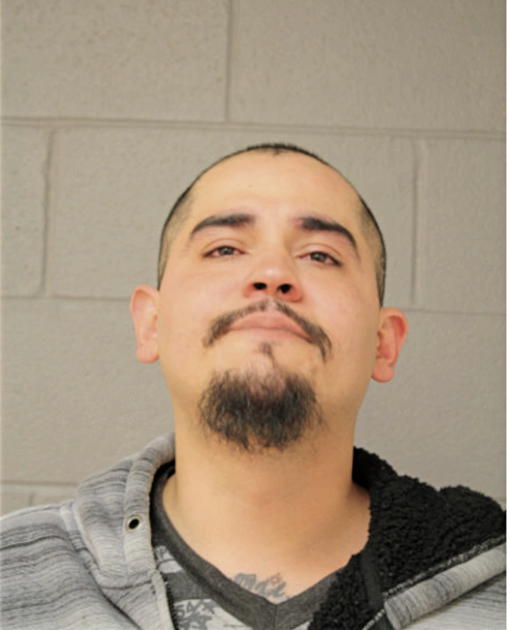JORGE A SALCEDO, Cook County, Illinois
