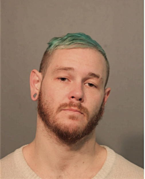 SHAUN C TRYON, Cook County, Illinois