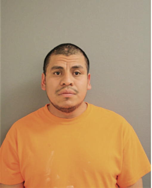 MARIO VALLEJO, Cook County, Illinois
