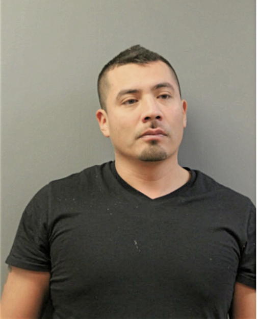 DAVID VELA, Cook County, Illinois