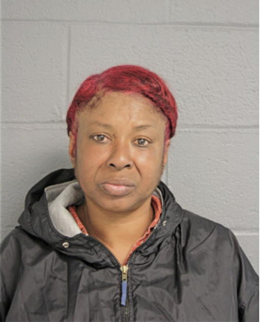 MARY S WILKERSON, Cook County, Illinois