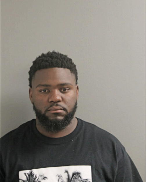LEO K WILSON, Cook County, Illinois