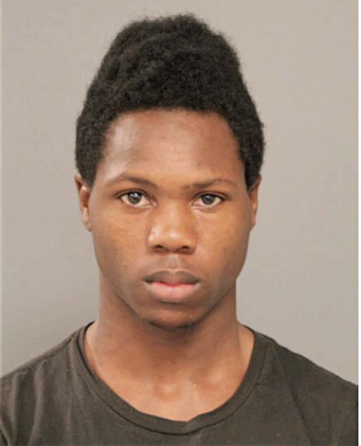 CHRISTOPHER D WOODARD, Cook County, Illinois
