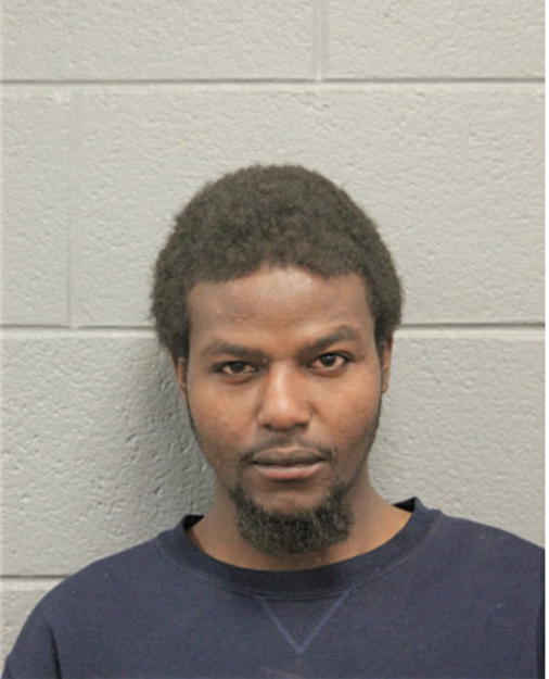 MOHAMED S WORKU, Cook County, Illinois