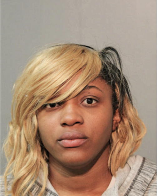ANDREA LM YOUNG, Cook County, Illinois