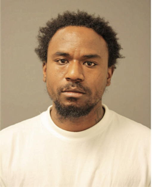 MICHAEL C YOUNG, Cook County, Illinois