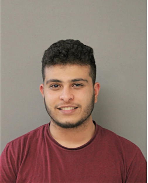YOUSEF S ABU HASHISH, Cook County, Illinois