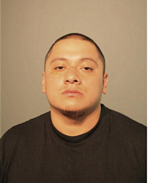 CELESTINO BANUELOS, Cook County, Illinois