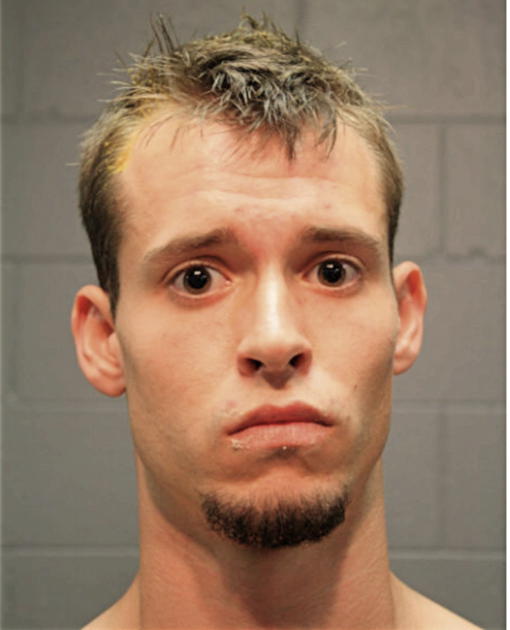 RYAN C ULMER, Cook County, Illinois
