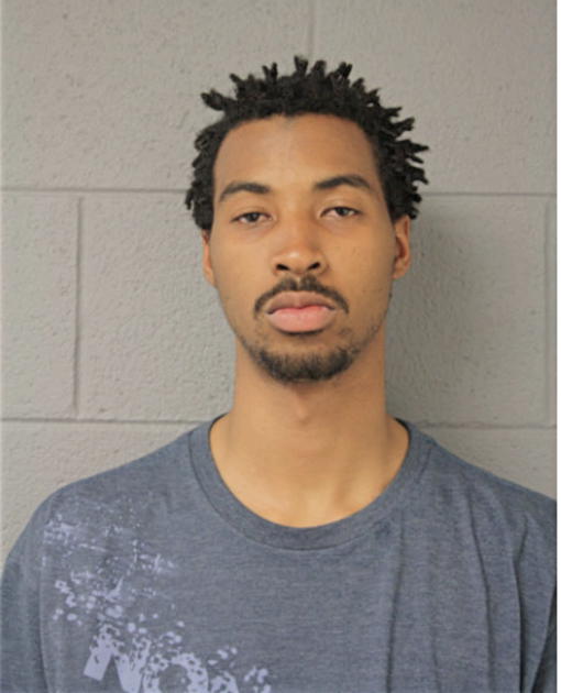 BRENT J CHILDS, Cook County, Illinois
