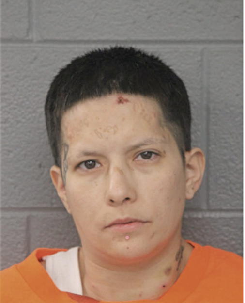 CYNTHIA A CONTRERAS, Cook County, Illinois