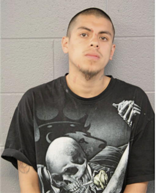 ALONZO DELGADO, Cook County, Illinois