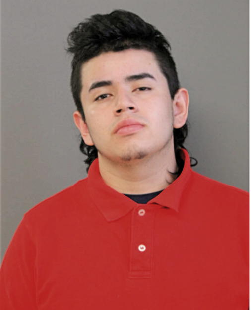 LUIS A DIAZ, Cook County, Illinois