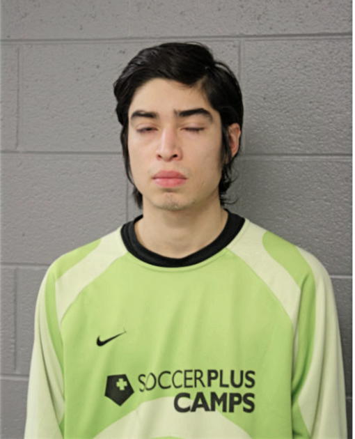 XRISTIAN A ESPINOZA, Cook County, Illinois