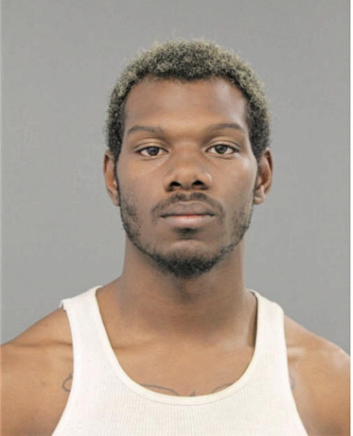TERRANCE D FRANKLIN, Cook County, Illinois