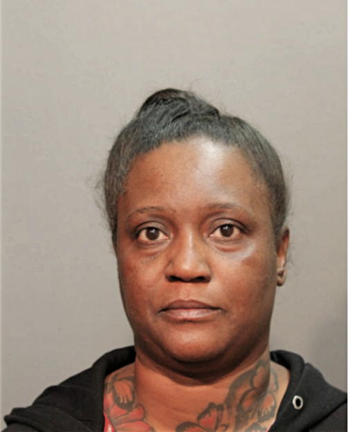 LASHAN A GEORGE, Cook County, Illinois