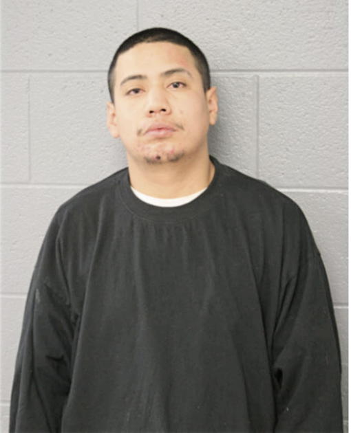 RICARDO GONZALES, Cook County, Illinois