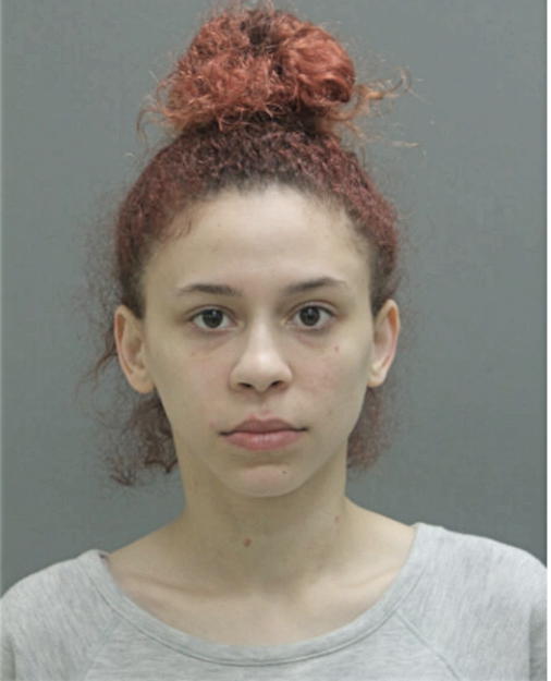 YAMILLETTE N GONZALEZ, Cook County, Illinois