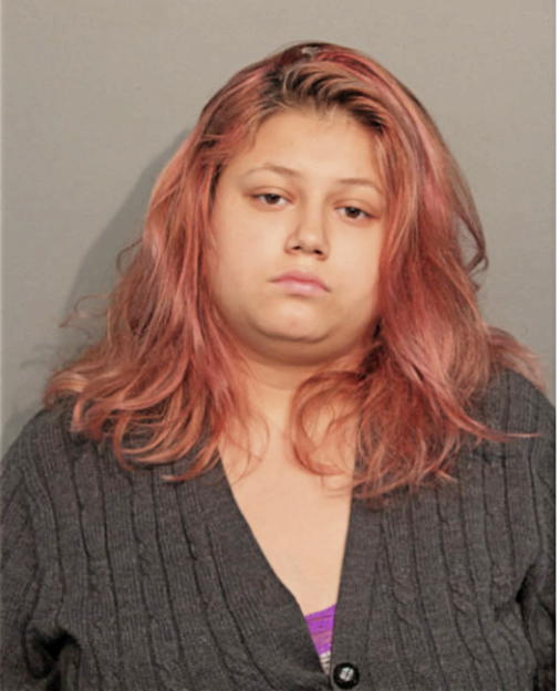DEANNA L LEWANDOWSKI, Cook County, Illinois