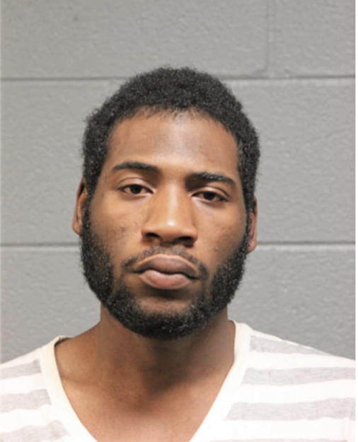 BRIAN L LEWIS, Cook County, Illinois