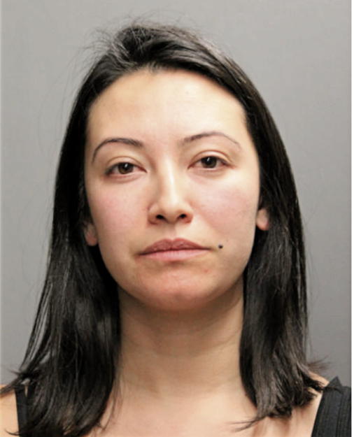 SHERYL V ROSSON, Cook County, Illinois