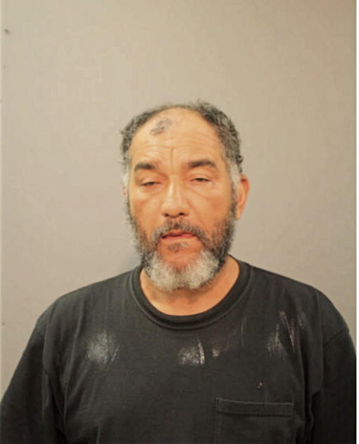 RAUL C SANTOS, Cook County, Illinois