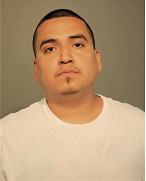 IRVING SOSA, Cook County, Illinois