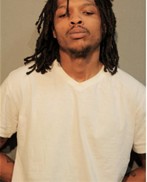 DESMOND Q STROTHER, Cook County, Illinois