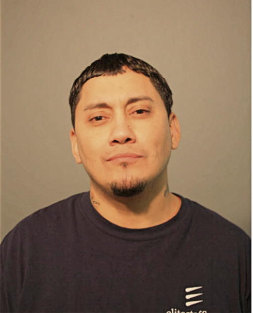 SERGIO TAPIA, Cook County, Illinois