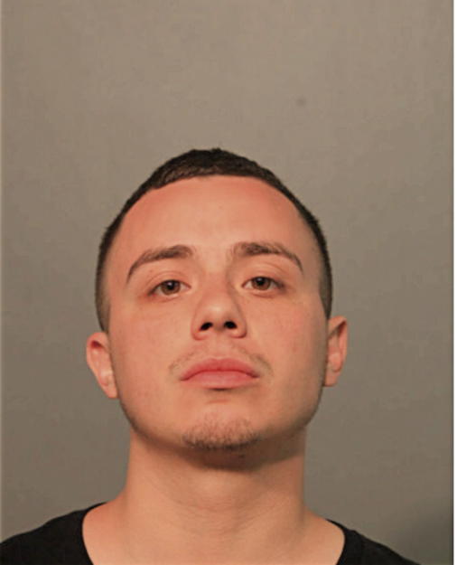 MELVIN R TORRES, Cook County, Illinois