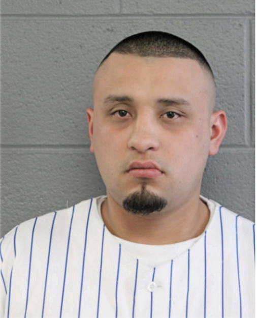 FELIPE ANDRADE, Cook County, Illinois