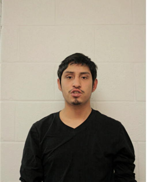 JOSE D AVILA, Cook County, Illinois