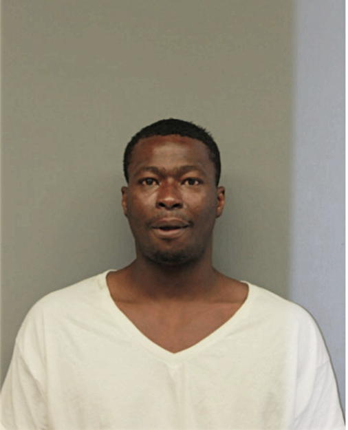 NORMAN J BROWN, Cook County, Illinois