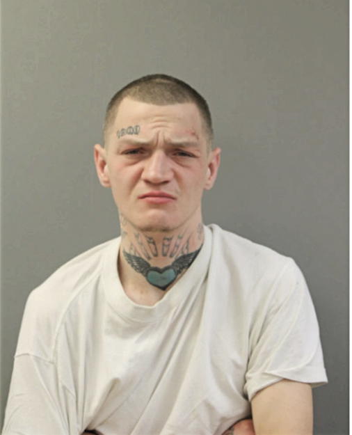 MICHAEL J CURTIN, Cook County, Illinois