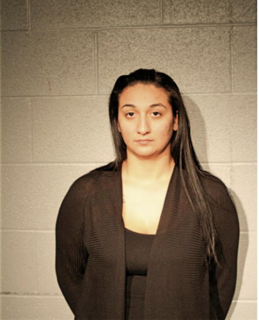 AMBER A DAVIDOVICH, Cook County, Illinois