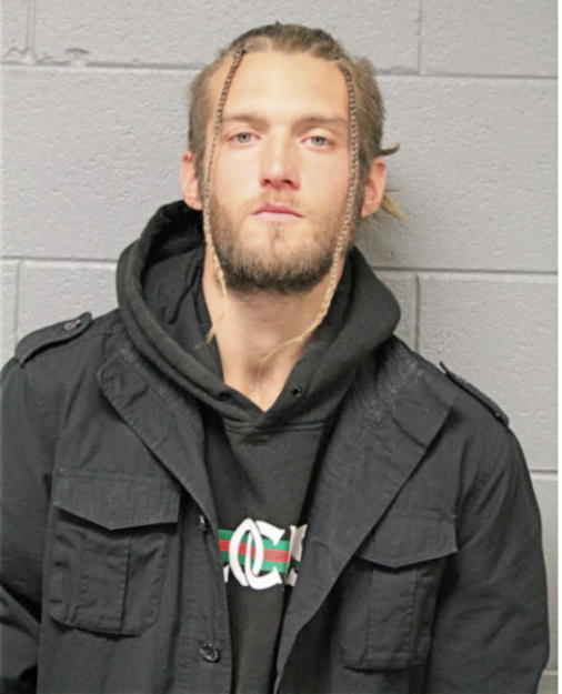 MICHAEL J DEBROWN, Cook County, Illinois