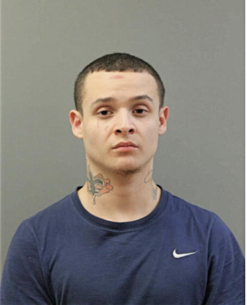 PAULO CESAR FIGUR, Cook County, Illinois