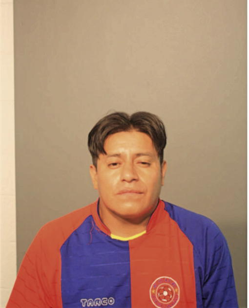 JOSE GUAMAN, Cook County, Illinois