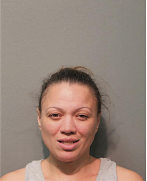 LYNN A HOUSTON, Cook County, Illinois