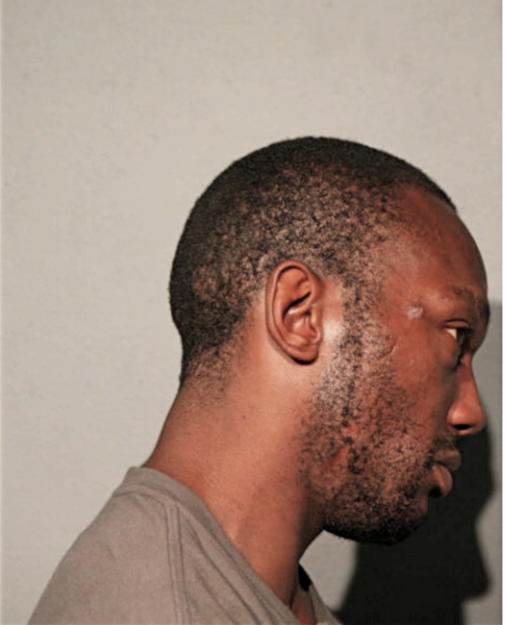 ROBERT L JOHNSON, Cook County, Illinois