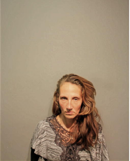 MICHELLE L LAUING, Cook County, Illinois