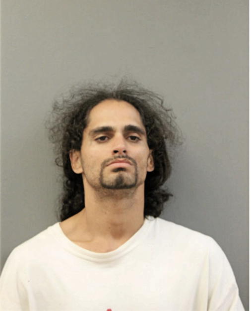 ADRIAN N LEMUS, Cook County, Illinois