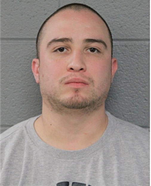 ANGEL M MARTINEZ, Cook County, Illinois