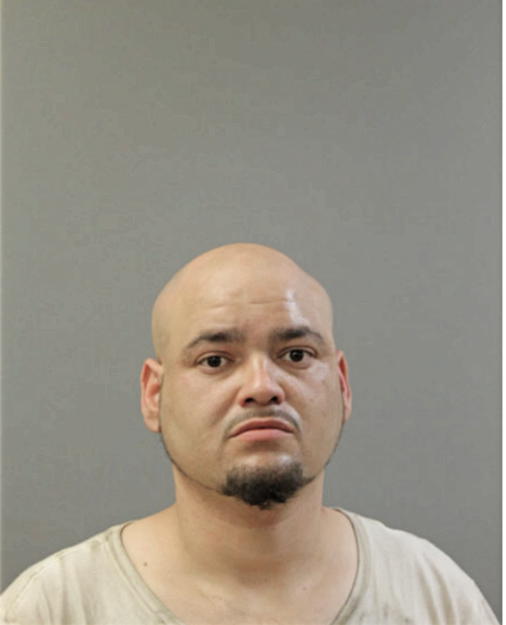 LOUIS F MARTINEZ, Cook County, Illinois