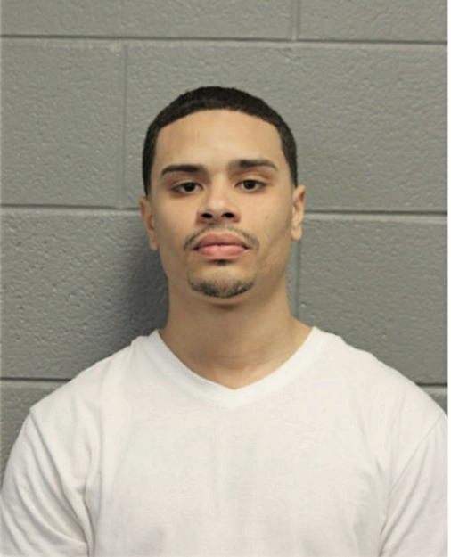 NICKOLAS P MITCHELL, Cook County, Illinois