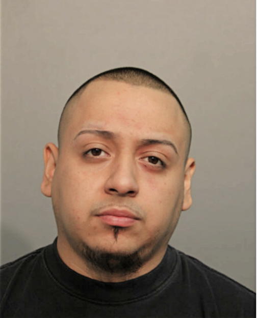 JOE A MOYA, Cook County, Illinois