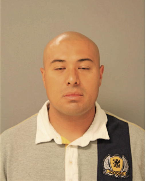 ERNESTO F NAVARRO, Cook County, Illinois