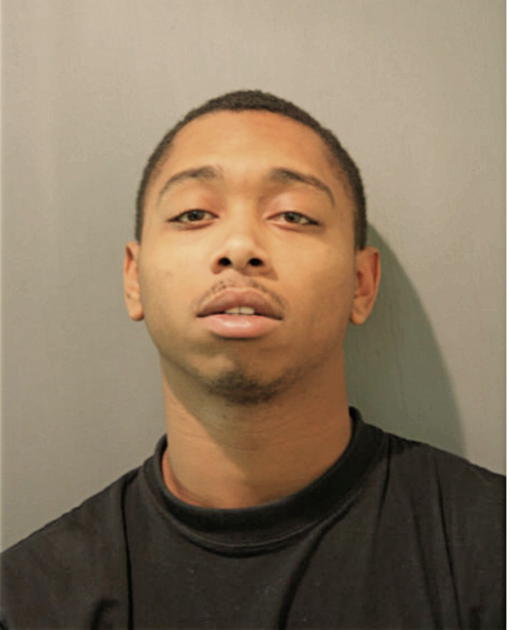 BREION L TERRY, Cook County, Illinois